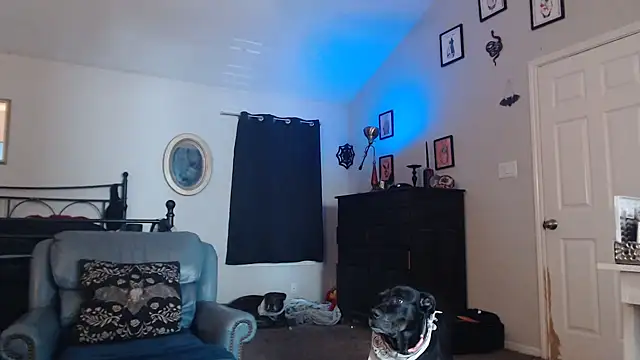 ImKatMeow online show from 02.09.26