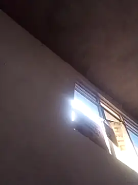 Orlao25cm online show from 03.15.26