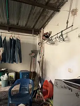 violeta365 online show from 03.24.26