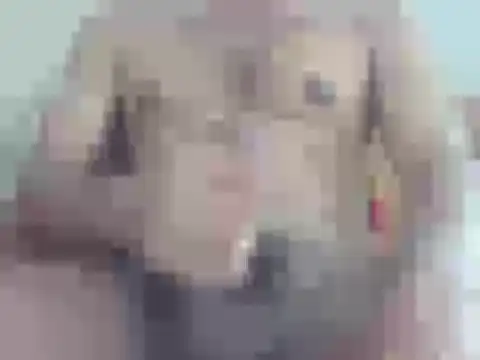 nick2445 online show from 04.18.26