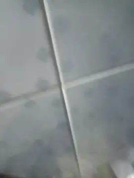 Snapshot of INTIMACY123 chatting on 11.03.25 INTIMACY123 online show from 11.03.25