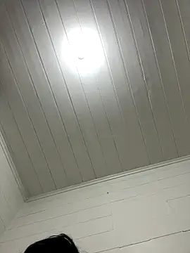 Snapshot of cheems232 chatting on 11.14.25 cheems232 online show from 11.14.25