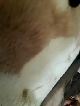 Perfect size online show from 11.20.25