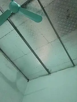  LAN  online show from 10.24.25