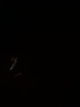 rickkis2k online show from 07.26.26