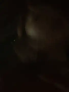 Lara-11 online show from 02.14.26