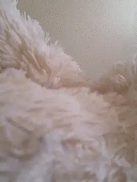 Bruninhadeusa online show from 12.19.25