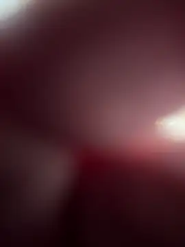 Cannavaro5 online show from 11.22.25