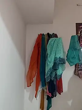 sivashree online show from 04.11.26