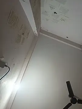 indoregigolo online show from 10.29.25