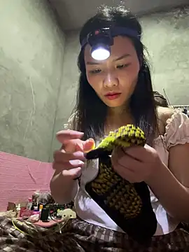 Yunzang online show from 02.28.26