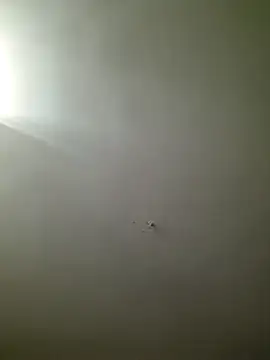 Snapshot of HarrySchwanz1000 chatting on 10.27.25 HarrySchwanz1000 online show from 10.27.25