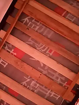 damian fort1 online show from 11.17.25