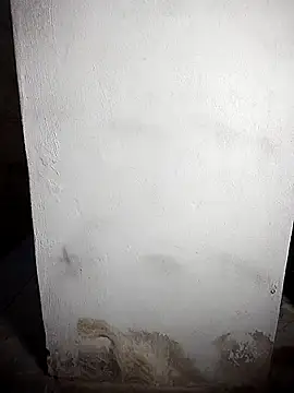 BD 228 online show from 02.19.26