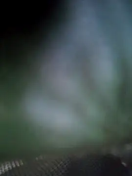 Snapshot of Georgette466 chatting on 04.18.26 Georgette466 online show from 04.18.26