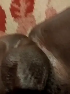 Reajune2001 online show from 04.20.26