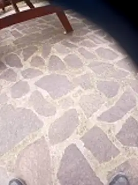 pino870 online show from 03.29.26