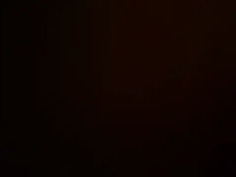 Snapshot of Niesmialyy chatting on 11.13.25 Niesmialyy online show from 11.13.25