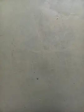 Snapshot of kashAsia chatting on 03.02.26 kashAsia online show from 03.02.26