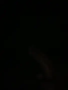 Snapshot of Manfredini607452 chatting on 02.04.26 Manfredini607452 online show from 02.04.26