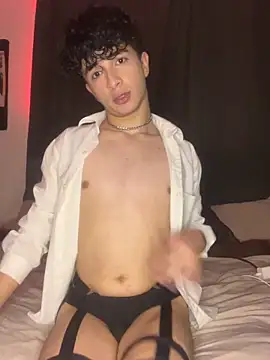 Snapshot of lion_cherry21 chatting on 11.04.25 lion cherry21 online show from 11.04.25