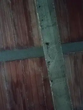 Megan2026 online show from 02.19.26