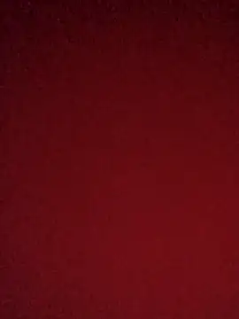 Snapshot of Quarterbackbutt08 chatting on 11.19.25 Quarterbackbutt08 online show from 11.19.25