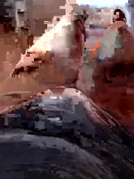 Snapshot of Vanja33 chatting on 11.03.25 Vanja33 online show from 11.03.25