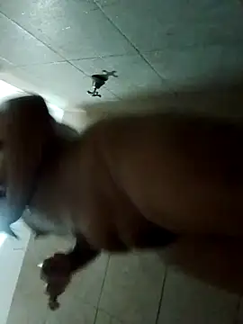 Snapshot of rebelde502 chatting on 11.12.25 rebelde502 online show from 11.12.25