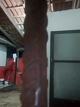 Snapshot of rebelde502 chatting on 11.13.25 rebelde502 online show from 11.13.25