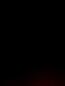 Tamil White Rose online show from 04.04.26