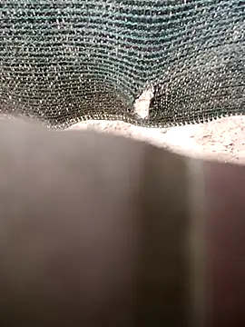 0281nosyehj online show from 02.14.26