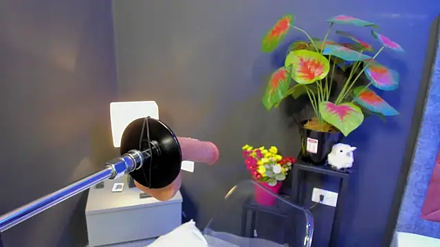 Snapshot of Amy_whittee chatting on 04.12.26 Amy whittee online show from 04.12.26