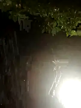 ParlousCarpet online show from 03.10.26