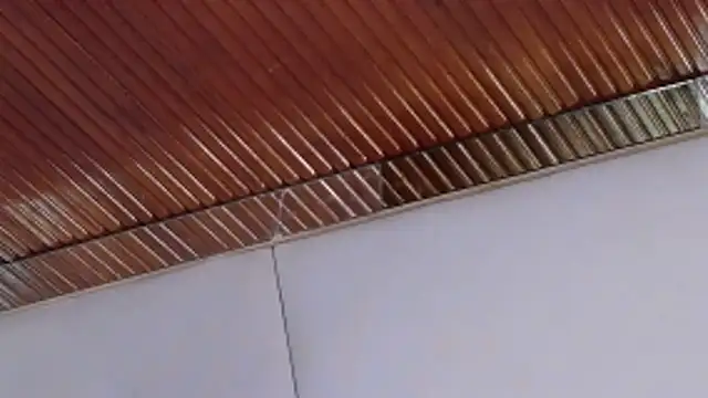 Snapshot of LannyShell chatting on 02.26.26 LannyShell online show from 02.26.26