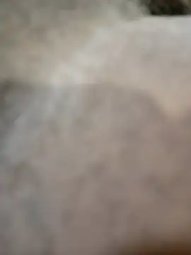 Telonet online show from 04.19.26