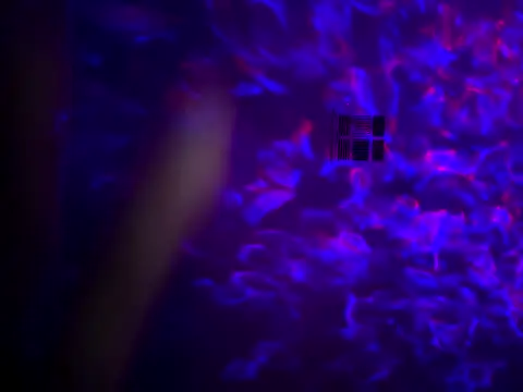 saorisins online show from 11.14.25