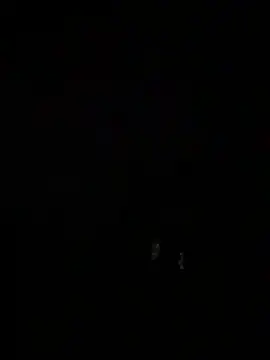 Santos229 online show from 02.02.26