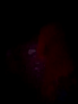 jacka 305 online show from 11.22.25