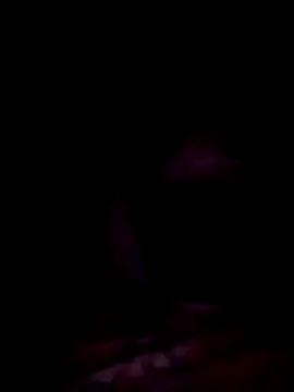 jacka 305 online show from 11.29.25