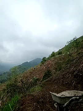 blonde blg online show from 03.24.26