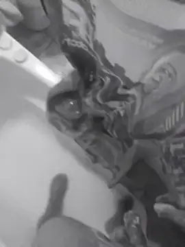 Snapshot of BrisaShow chatting on 05.22.26 BrisaShow online show from 05.22.26