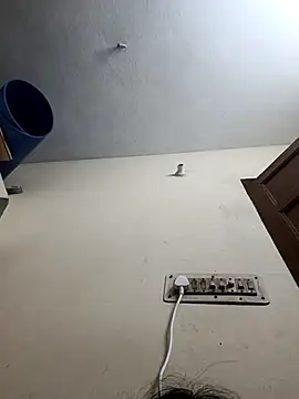 Snapshot of Varshatamil chatting on 11.13.25 Varshatamil online show from 11.13.25