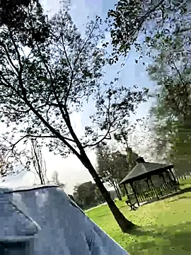 nani rosse of online show from 11.20.25