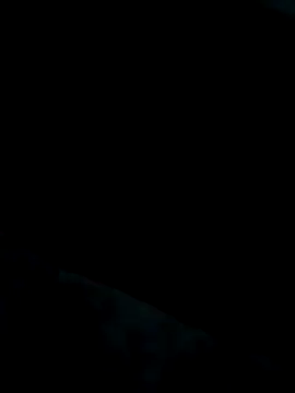 Heterobusca online show from 11.20.25