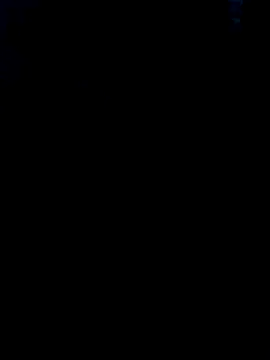 Heterobusca online show from 11.30.25