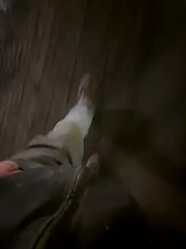 Phil-jae online show from 11.21.25