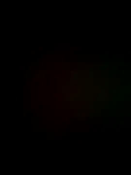 exxotisch online show from 11.17.25