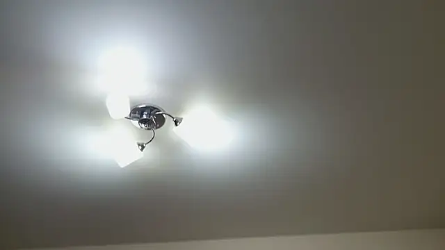 Foxy-lady online show from 12.22.25