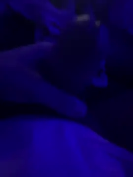 darknebula80 online show from 02.25.26